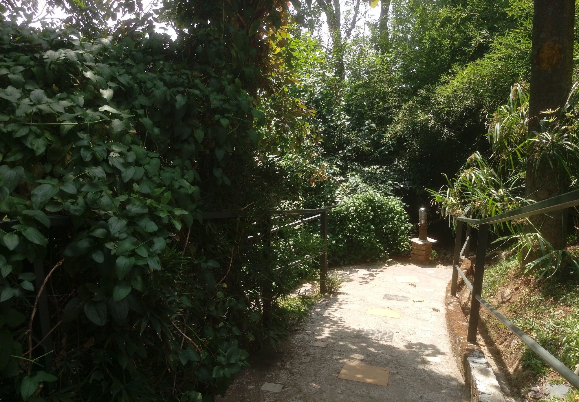Spicetree Munnar Otel Chinnakanal Dış mekan fotoğraf