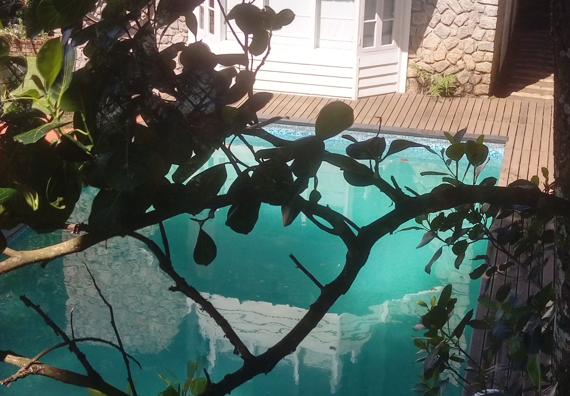 Spicetree Munnar Otel Chinnakanal Dış mekan fotoğraf