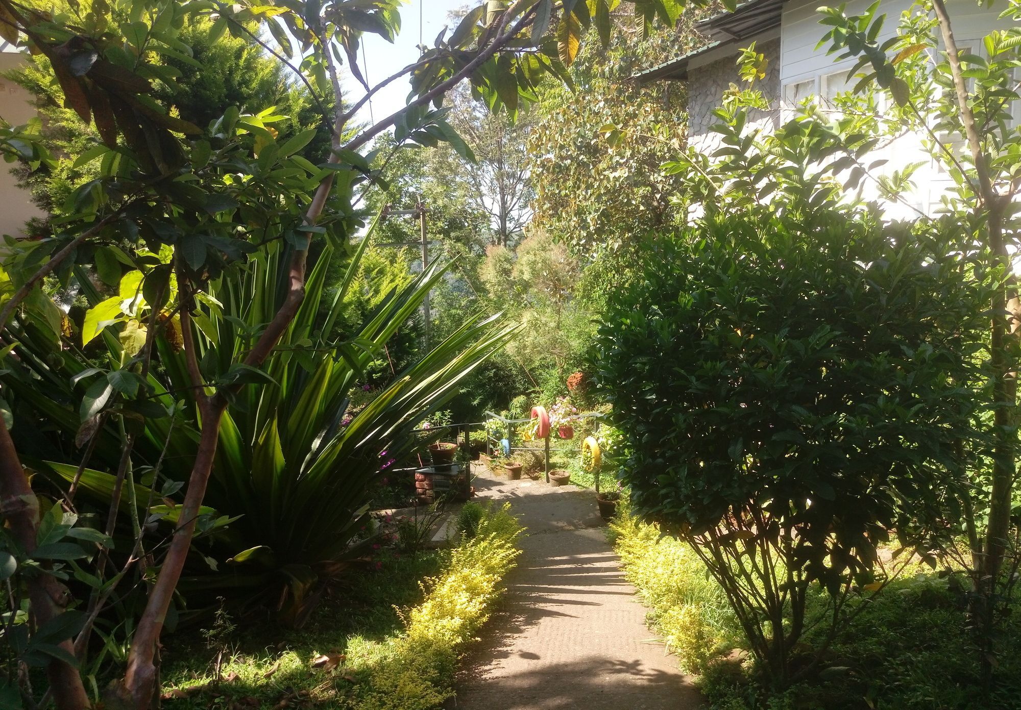 Spicetree Munnar Otel Chinnakanal Dış mekan fotoğraf